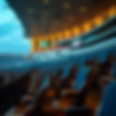 Seating Layout and Accessibility Options at the Stadium Stadium seating layout highlighting accessibility options